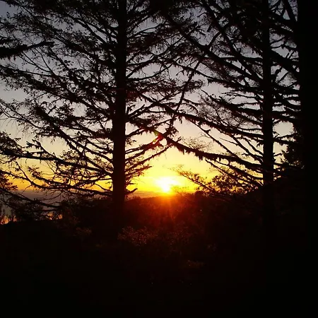 Pimenta Downtown Appartement Funchal (Madeira)