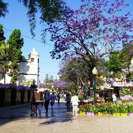 Pimenta Downtown * Funchal (Madeira)