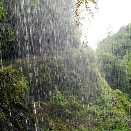 Apartmán Pimenta Downtown Funchal (Madeira)