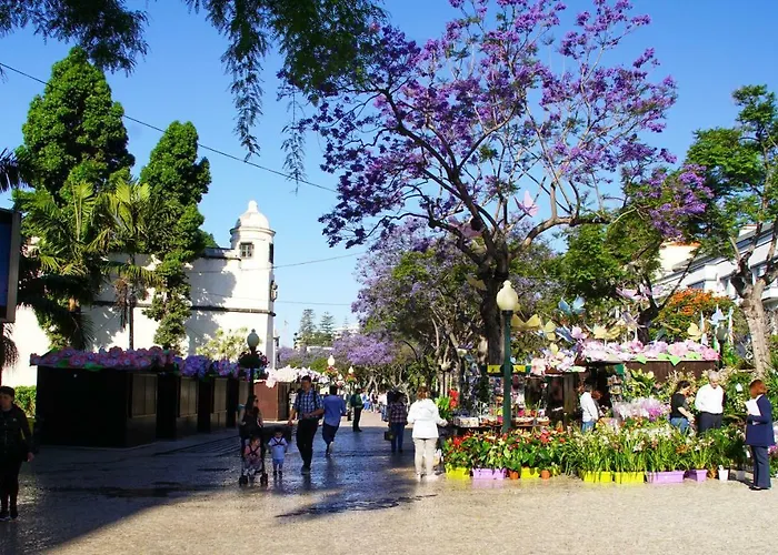 Pimenta Downtown * Funchal (Madeira)