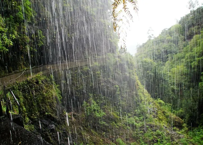 Apartamento Pimenta Downtown Funchal (Madeira)