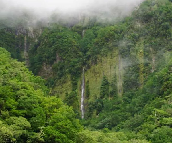 Apartamento Pimenta Downtown *