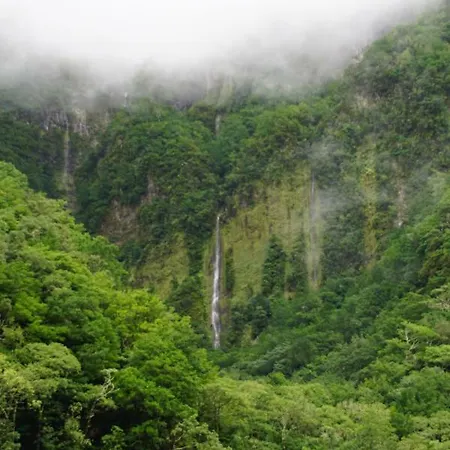 Lägenhet Pimenta Funchal Downtown *